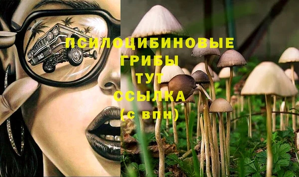 spice Богородск