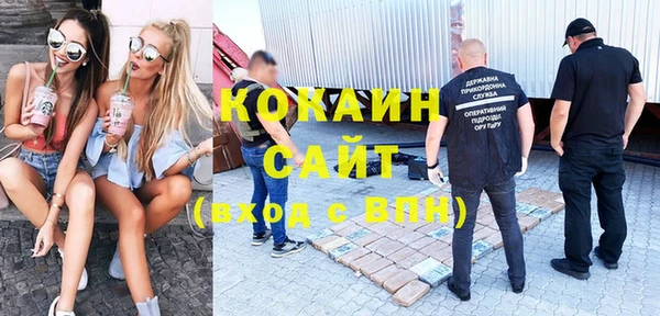 молекула духа Богородицк