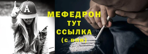 молекула духа Богородицк