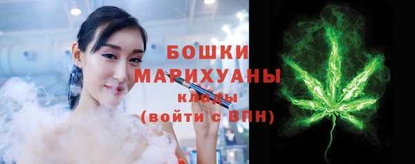 молекула духа Богородицк