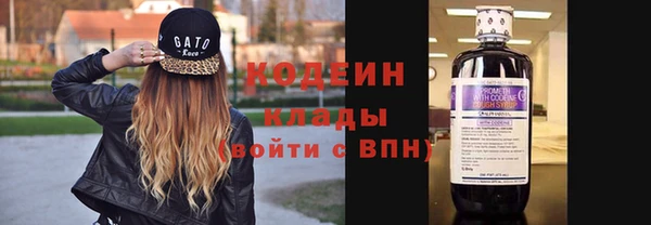 молекула духа Богородицк