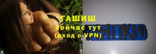 spice Богородск