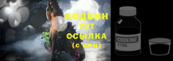 молекула духа Богородицк
