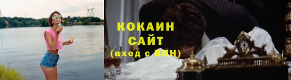 spice Богородск