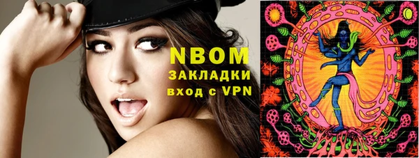 молекула духа Богородицк