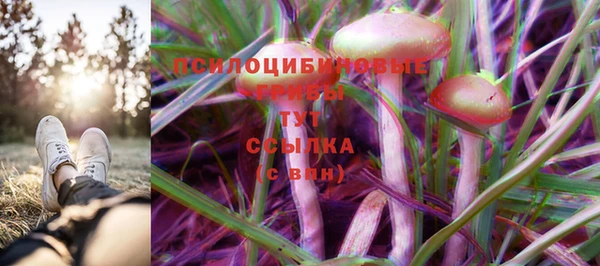 spice Богородск