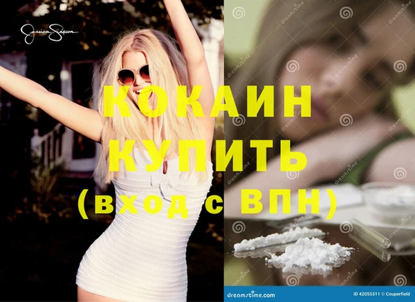 молекула духа Богородицк