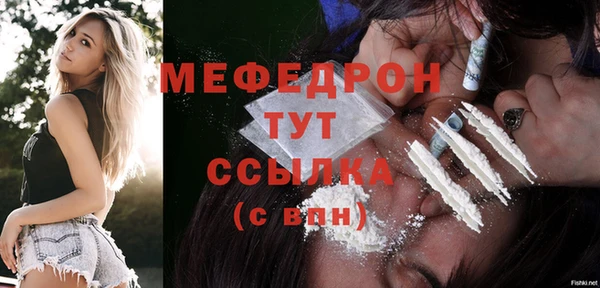 молекула духа Богородицк