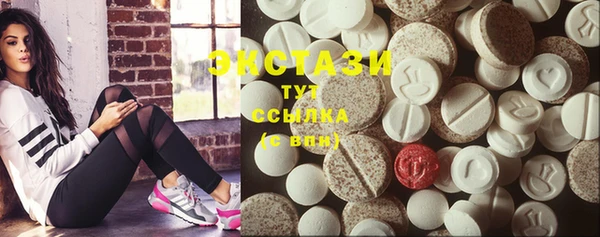 молекула духа Богородицк