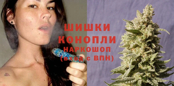 молекула духа Богородицк