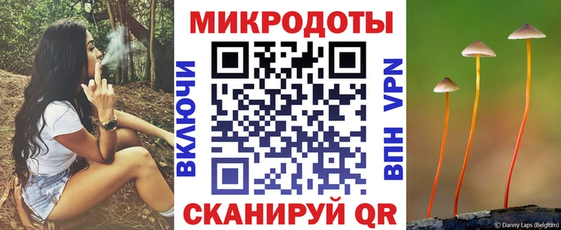 Псилоцибиновые грибы Psilocybe  Купить закладки  Каменск-Шахтинский 