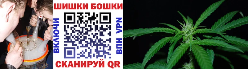Бошки марихуана OG Kush  Купить  Каменск-Шахтинский 